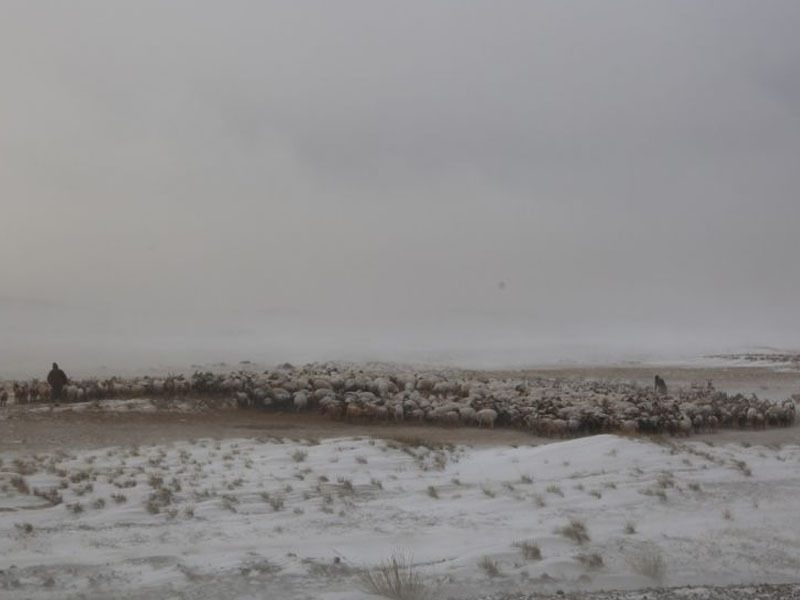 Цаг агаарын мэдээлэлд үндэслэн аюулгүй байдлаа хангахыг зөвлөж байна